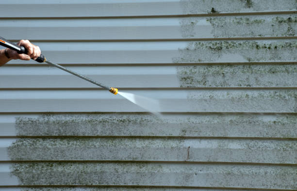 Best Dumpster Area Cleaning  in Jena, LA